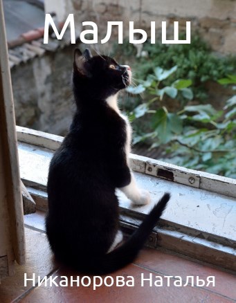 Обложка книги Малыш
