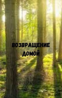 Обложка книги Возвращение домой