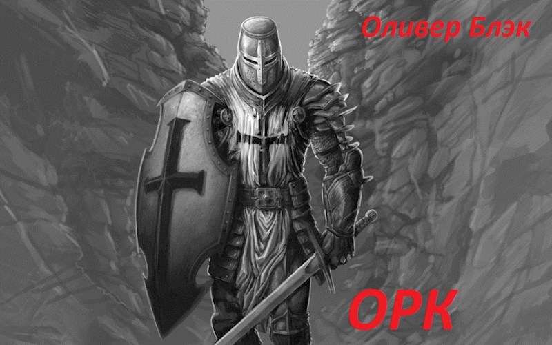 Обложка книги ОРК