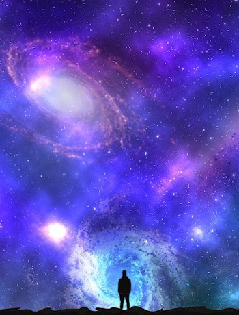 Обложка книги Паладин 2204