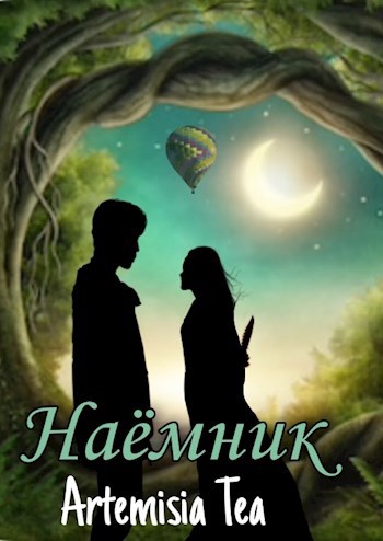 Обложка книги Наёмник