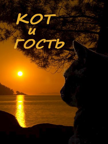 Обложка книги Кот и гость