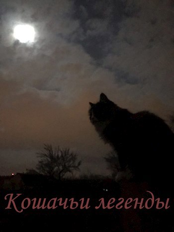 Обложка книги Кошачьи легенды