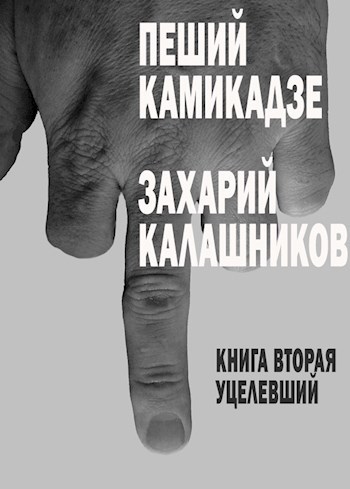 Обложка книги Уцелевший (Книга вторая)