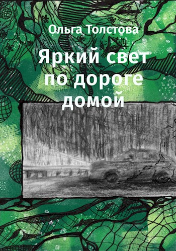 Обложка книги Яркий свет по дороге домой