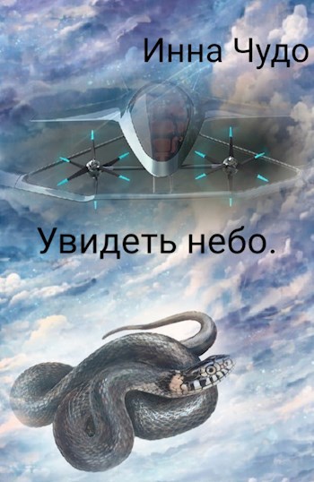 Обложка книги Увидеть небо