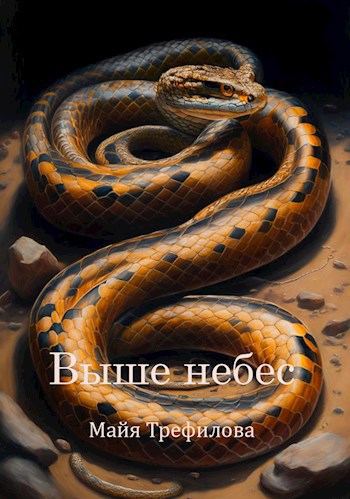 Обложка книги Выше небес