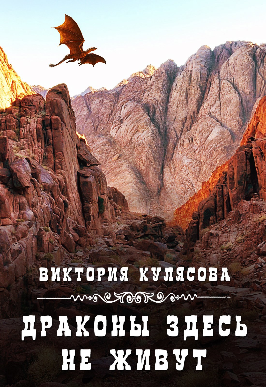 Обложка книги Драконы здесь не живут