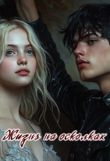 Обложка книги Жизнь на осколках