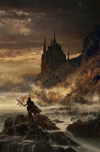 Обложка книги Вита (Последний рыцарь. Предыстория.)