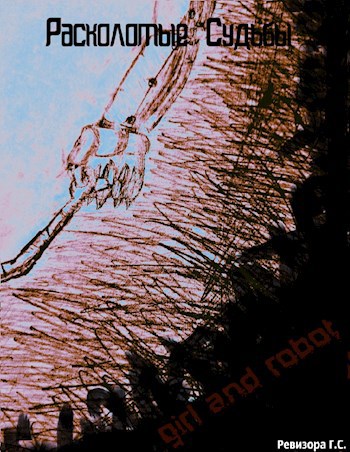 Обложка книги Расколотые судьбы. Девчонка и робот.