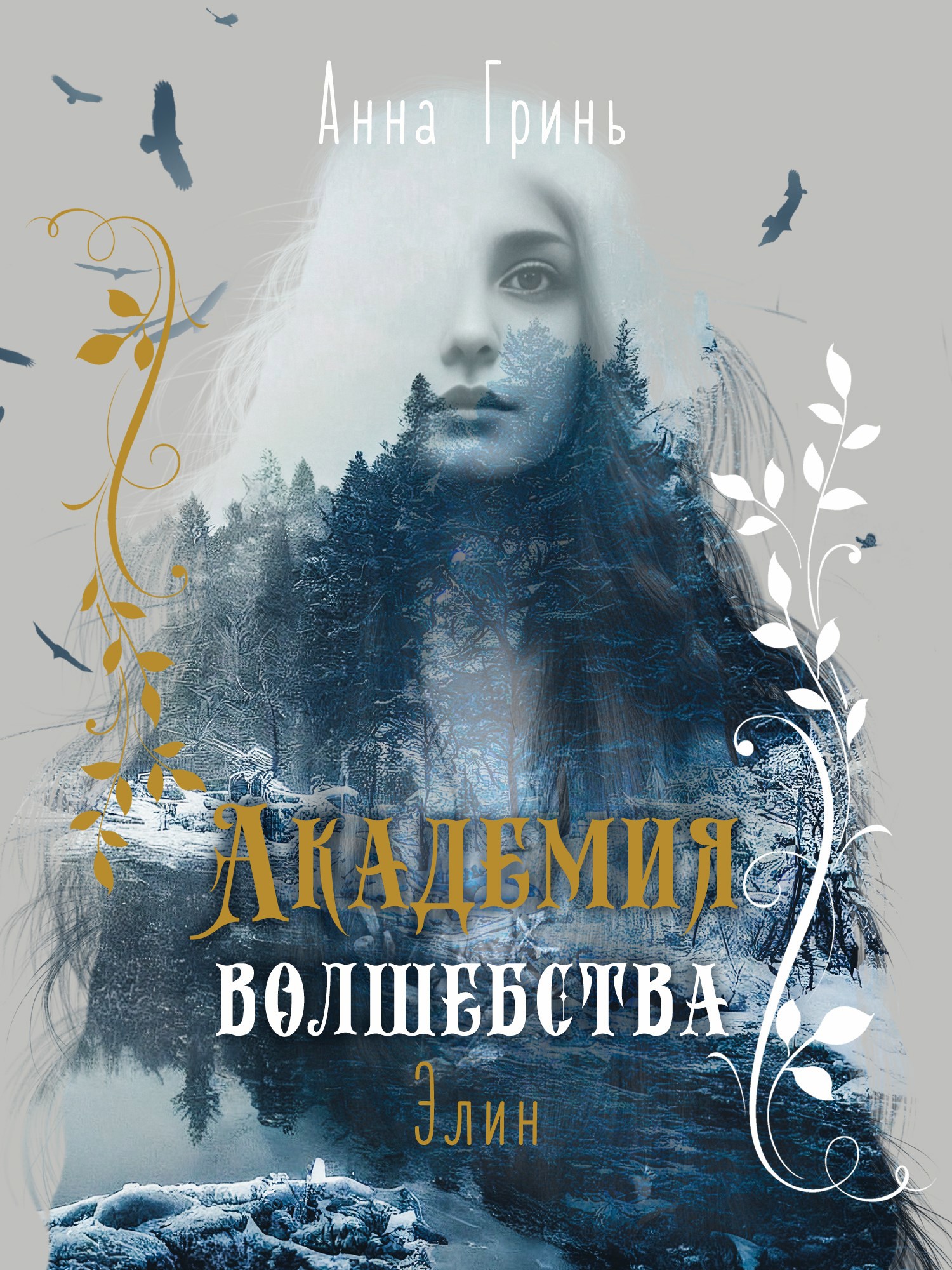 Обложка книги Академия волшебства. Элин