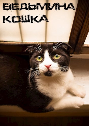 Обложка книги Ведьмина кошка