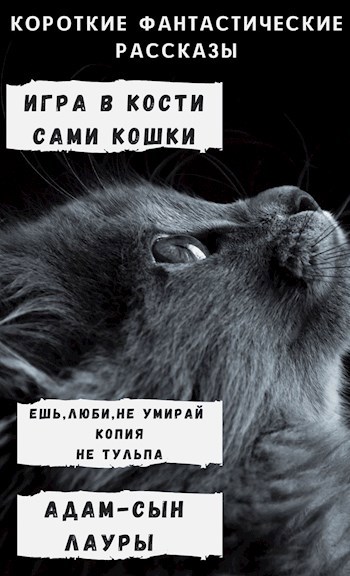 Обложка книги Короткие фантастические рассказы