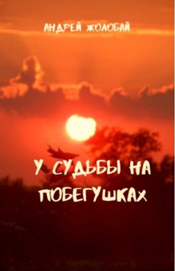 Обложка книги У судьбы на побегушках