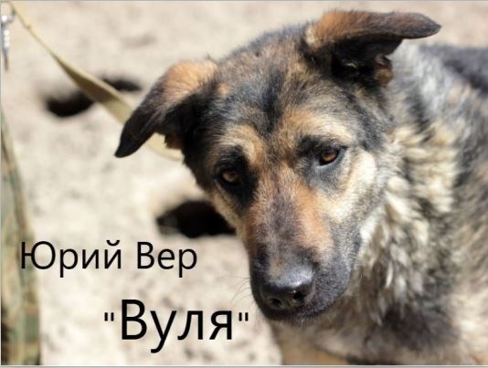 Обложка книги Вуля