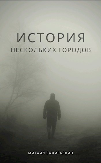 Обложка книги История нескольких городов