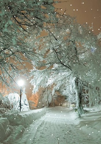 Обложка книги Двенадцать месяцев