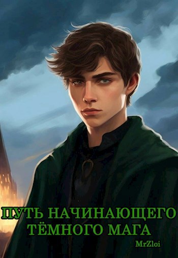 Обложка книги Путь начинающего тёмного мага