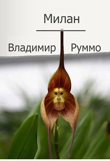 Обложка книги Милан
