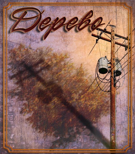 Обложка книги Дерево