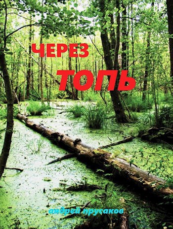 Обложка книги Через топь