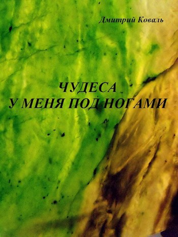 Обложка книги Чудеса у меня под ногами