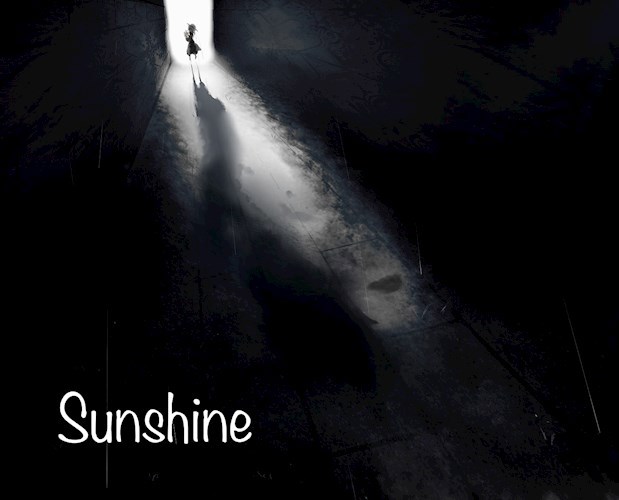 Обложка книги Sunshine