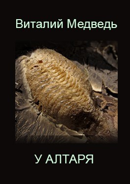 Обложка книги У алтаря