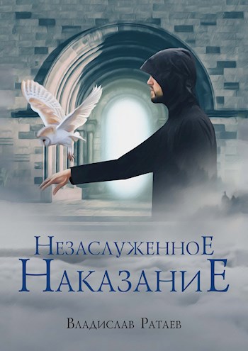 Обложка книги Незаслуженное наказание