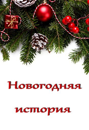 Обложка книги Новогодняя история