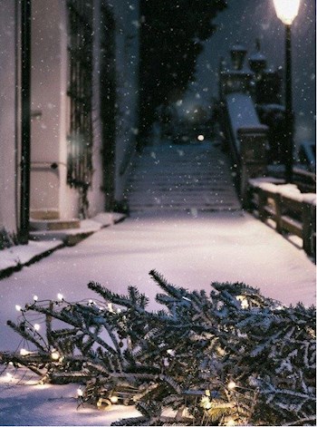 Обложка книги Новый год. Праздник страшнее, чем Хэллоуин