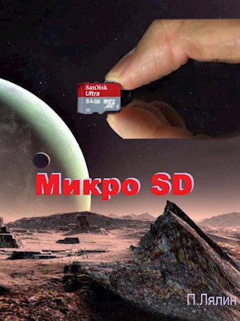 Обложка книги Микро SD