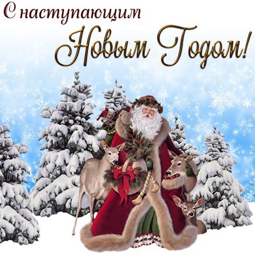 Обложка книги С новым годом!