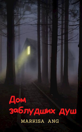 Обложка книги Дом заблудших душ