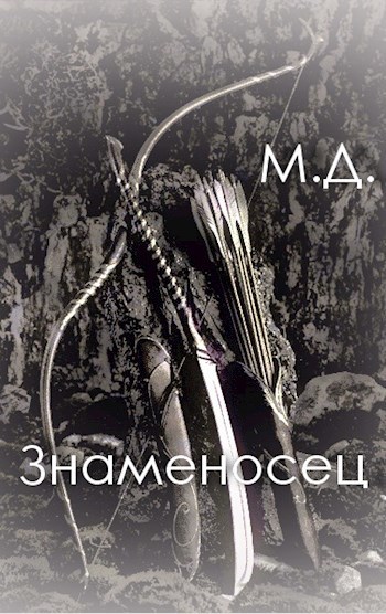 Обложка книги Знаменосец