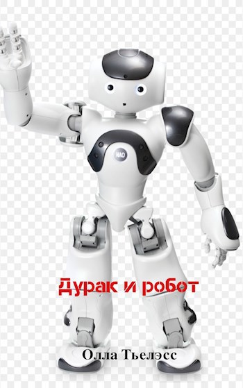 Обложка книги Дурак и робот