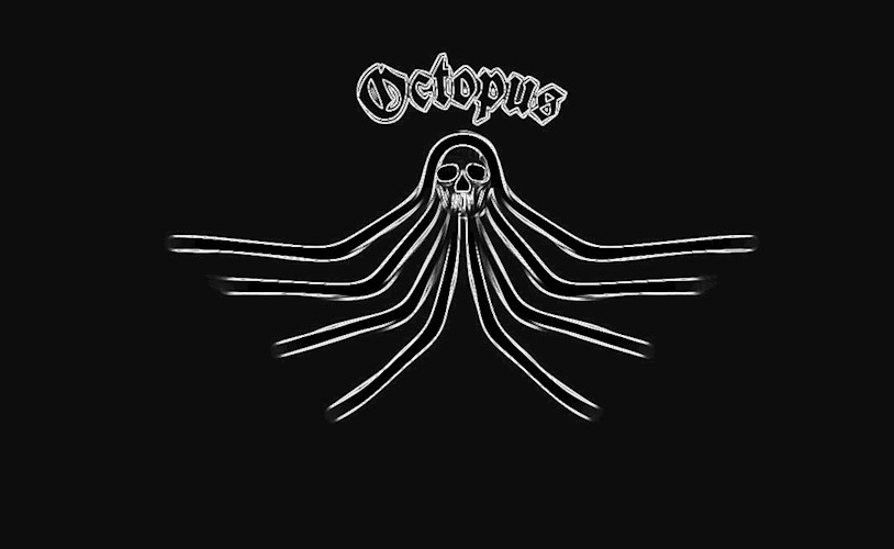 Обложка книги Octopus