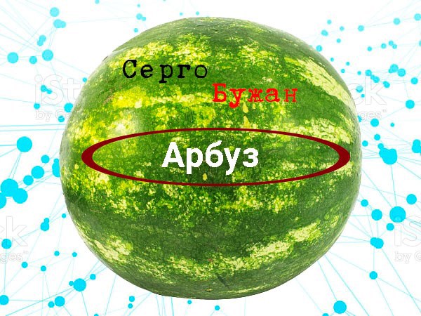 Обложка книги Арбуз