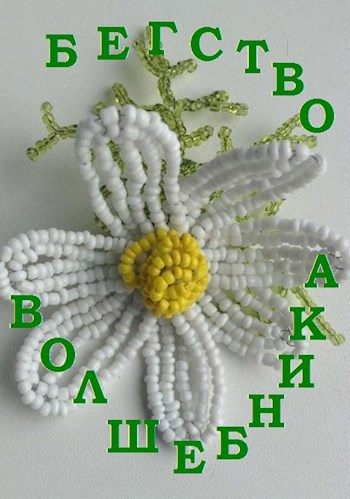 Обложка книги Бегство Волшебника