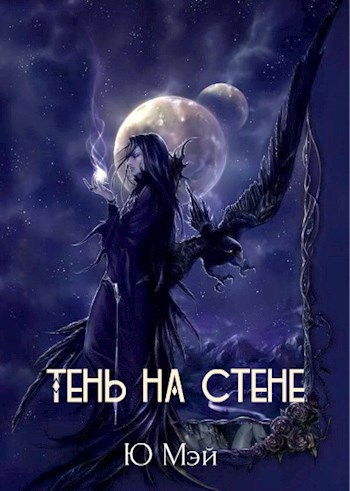 Обложка книги Тень на стене
