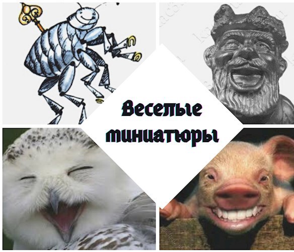 Обложка книги Миниатюры веселые и не очень