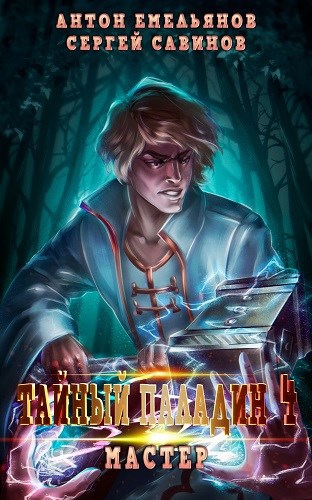 Обложка книги Тайный паладин 4: Мастер