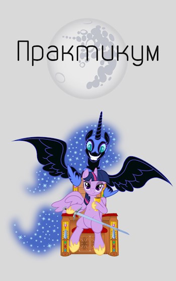 Обложка книги Практикум