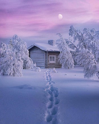 Обложка книги Теплый дом