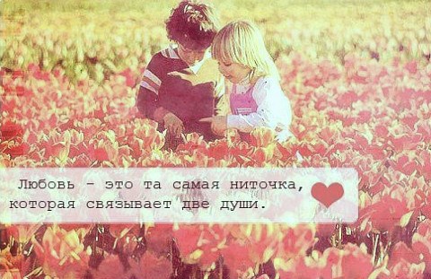 Обложка книги Любовь - это....