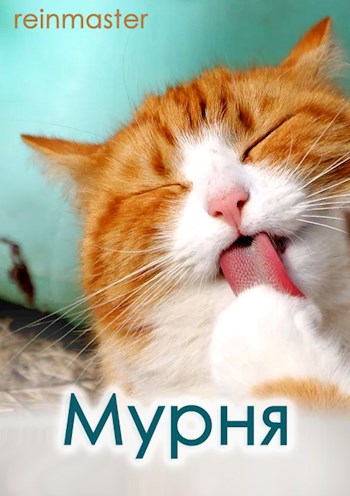 Обложка книги Мурня