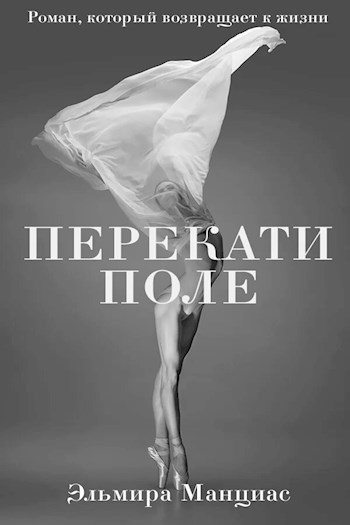 Обложка книги Перекати поле