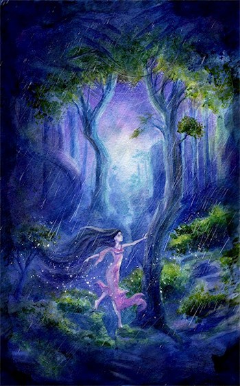 Обложка книги Сказки на долгую ночь
