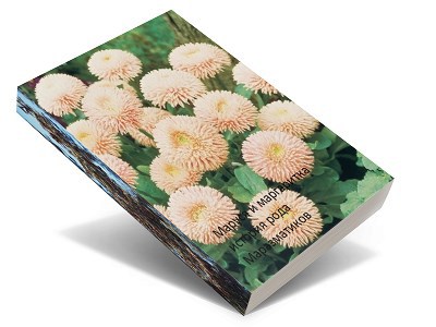Обложка книги Маруся и маргаритка, история рода Маразматиков.